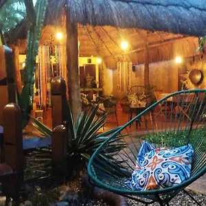 Barrio Latino Hotel Riviera Maya Hotel